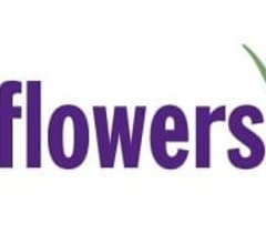 Image for 1-800 FLOWERS.COM (NASDAQ:FLWS) Upgraded to “Hold” at Zacks Research