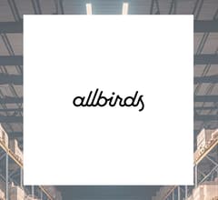 Image for Allbirds (NASDAQ:BIRD) CEO Sells $11,870.97 in Stock
