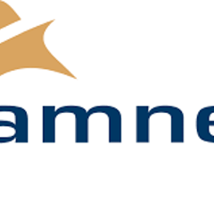 Image for Amneal Pharmaceuticals (NASDAQ:AMRX) Price Target Raised to $17.00