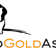 Image for AngloGold Ashanti (NYSE:AU) Cut to Hold at Wall Street Zen