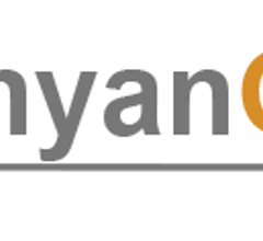 Image for National Bank Financial Analysts Give Banyan Gold (CVE:BYN) a C$3.00 Price Target