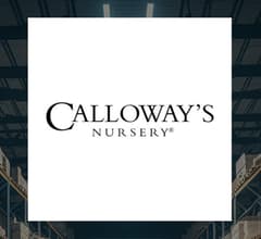 Image for Reviewing Calloway’s Nursery (OTCMKTS:CLWY) & DICK’S Sporting Goods (NYSE:DKS)