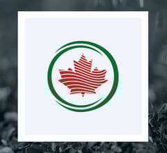 Image for Canada Nickel (CVE:CNC)  Shares Down 5.6%   – Should You Sell?