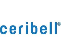 Image for CeriBell (NASDAQ:CBLL) Price Target Raised to $30.00
