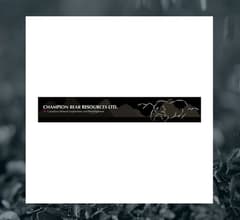 Image for Champion Bear Resources (CVE:CBA) Shares Up 16.7%  – Still a Buy?