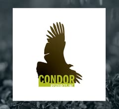 Image for Condor Resources (CVE:CN) Stock Price Down 19.4%  – What’s Next?
