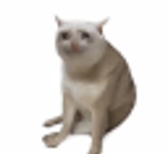 Image for Cash Cat Hits Self Reported Market Capitalization of $167.15 Million (CASHCAT)