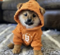 Image for DOG•GO•TO•THE•MOON (DOG) Hits 24 Hour Trading Volume of $1.81 Million