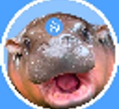 Image for sudeng (HIPPO) Achieves Self Reported Market Capitalization of $6.71 Million