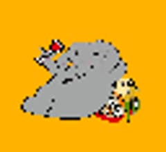 Image for WHY (WHY) Self Reported Market Cap Hits $4.40 Million