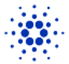 Image for Wrapped Cardano (WADA) 24-Hour Volume Tops $5.38 Thousand