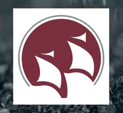 Image for Endeavour Silver Q4 Earnings Call Highlights