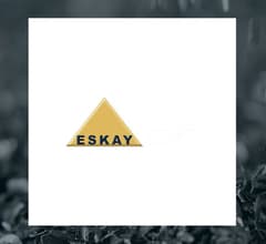 Image for Eskay Mining (CVE:ESK) Stock Price Up 58.6%  – What’s Next?