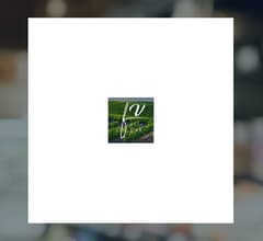 Image for Fresh Vine Wine (NYSEAMERICAN:VINE)  Shares Down 0.3%   – Should You Sell?