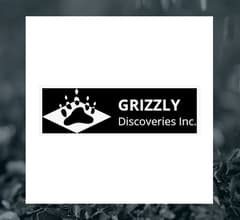 Image about Grizzly Discoveries (CVE:GZD) Sets New 1-Year High  – Should You Buy?