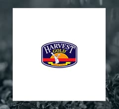 Image for Harvest Gold (CVE:HVG)  Shares Down 6.7%   – Here’s What Happened