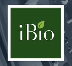 Image for iBio (NASDAQ:IBIO) Posts Earnings Results, Misses Expectations By $0.01 EPS