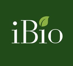 Image about iBio (NASDAQ:IBIO) Upgraded by Wall Street Zen to Hold Rating