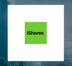 Image for BNP Paribas Acquires 867,401 Shares of iShares iBoxx $ Investment Grade Corporate Bond ETF $LQD