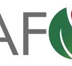 Image for Raymond James Financial Cuts Itafos (CVE:IFOS) Price Target to C$3.75
