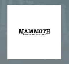 Image for Mammoth Energy Services (NASDAQ:TUSK) versus NXT Energy Solutions (OTCMKTS:NSFDF) Financial Contrast