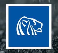 Image for Northern Dynasty Minerals (NASDAQ:NAK) Trading Up 8.1%  – Here’s Why