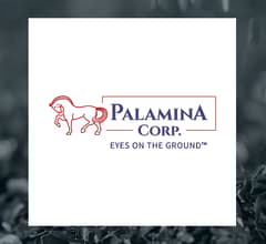 Image about Palamina (CVE:PA) Sets New 12-Month High  – Should You Buy?