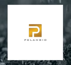 Image for Pelangio Exploration (CVE:PX) Stock Price Down 13.2%  – Time to Sell?