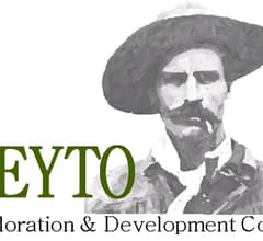 Image for Peyto Exploration & Development (TSE:PEY) Price Target Raised to C$31.00 at Desjardins