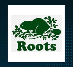 Image for Roots (TSE:ROOT)  Shares Down 4.1%   – Here’s What Happened
