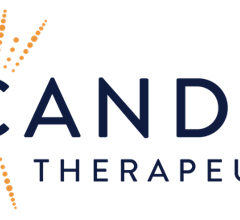 Image for Jefferies Financial Group Issues Positive Forecast for Sable Offshore (NYSE:SOC) Stock Price