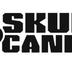 Image for Skullcandy Inc. (SKUL) Upgraded to “Hold” by TheStreet