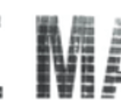 Image for Needham & Company LLC Cuts Steven Madden (NASDAQ:SHOO) Price Target to $41.00