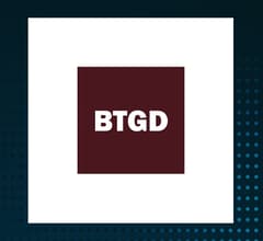 Image for STKD Bitcoin & Gold ETF (NYSEARCA:BTGD)  Shares Down 7.9%   – Here’s What Happened