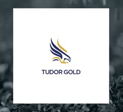 Image for Tudor Gold (CVE:TUD) Director Ronald Stoeferle Acquires 21,000 Shares of Stock