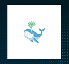 Image for Unusual Whales Subversive Democratic Trading ETF (BATS:NANC) Stock Price Down 1%  – Time to Sell?