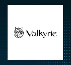Image for Valkyrie Balance Sheet Opportunities ETF (NYSEARCA:VBB) Trading Up 0.4%  – Here’s What Happened