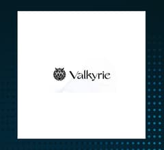 Image for Maridea Wealth Management LLC Acquires 24,774 Shares of Valkyrie Bitcoin Miners ETF $WGMI