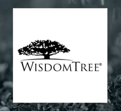 Image about WisdomTree Efficient Rare Earth Plus Strategic Metals Fund (BATS:WDIG) Stock Price Down 1.7%  – Here’s Why