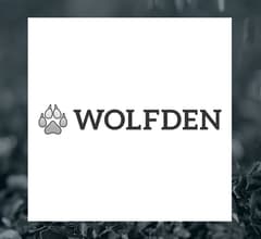 Image for Wolfden Resources (CVE:WLF)  Shares Down 16.7%   – What’s Next?
