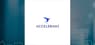 Financial Analysis: Accelerant  versus Its Peers