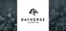 Bayhorse Silver  Trading Down 5.9%  – Should You Sell?