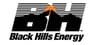 Black Hills  Earns Buy Rating from Analysts at LADENBURG THALM/SH SH