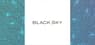 Divisadero Street Capital Management LP Raises Position in BlackSky Technology Inc. $BKSY