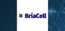 Briacell Therap  Releases Earnings Results