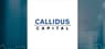 Callidus Capital  Hits New 52-Week High  – Should You Buy?