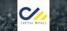 Capital Metals  Stock Price Up 4.1%  – Here’s Why