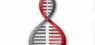 Co-Diagnostics  Upgraded by Maxim Group to “Strong-Buy” Rating