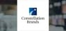 Richard Bernstein Advisors LLC Reduces Position in Constellation Brands Inc $STZ