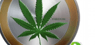 CannabisCoin  Tops 24-Hour Trading Volume of $4.58